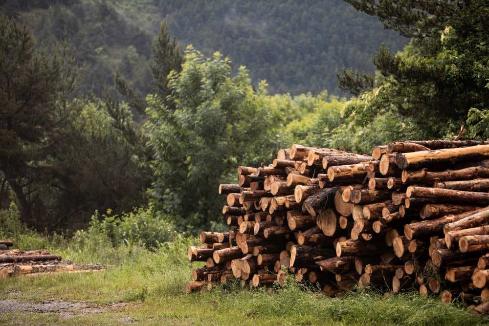 Sale of sawmill and woodworking industry products